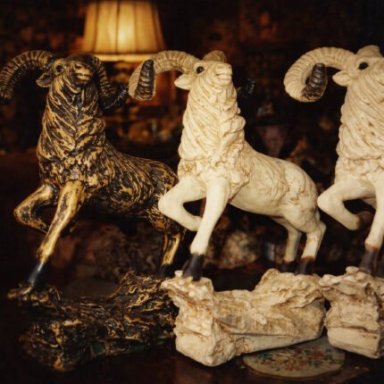 Markho Model With Three Color Customer Choice