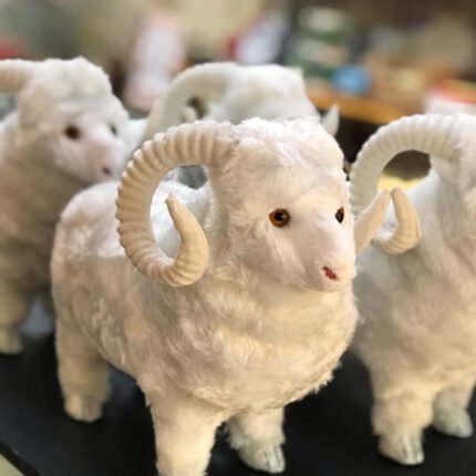 Soft Surface White Sheep With Music